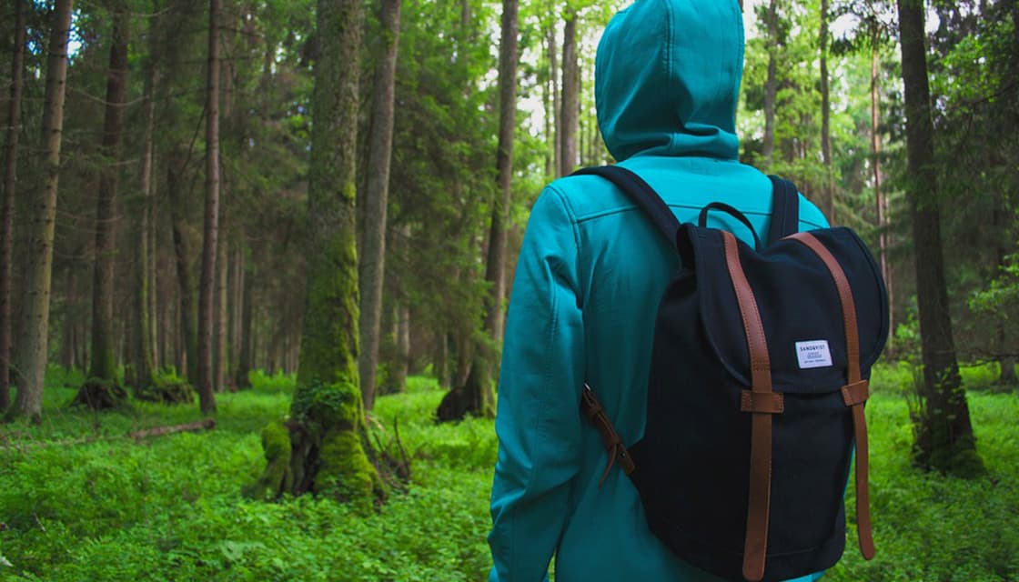 Naturvärdesinventering — NVI kort